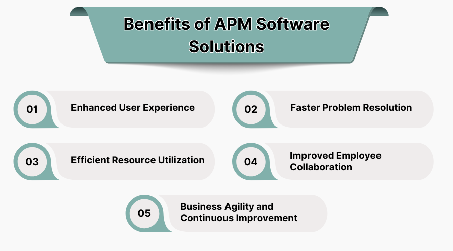 Benefits of APM Software Solution